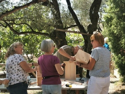 ABRIS A CHAUVE-SOURIS