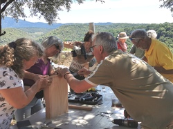 ABRIS A CHAUVE-SOURIS