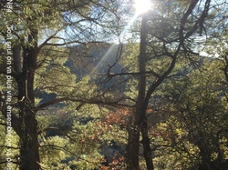BEAUMONT DU VENTOUX et CARRIERES