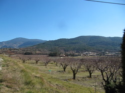 BEAUMONT DU VENTOUX ET SES HAMEAUX