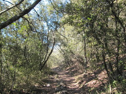 BEAUMONT DU VENTOUX ET SES HAMEAUX
