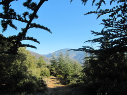 BEAUMONT DU VENTOUX ET SES HAMEAUX