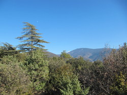 BEAUMONT DU VENTOUX ET SES HAMEAUX