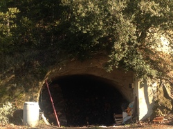 BEAUMONT St Roch- le Rissas