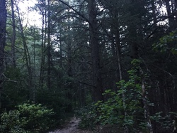 BEDOIN LA COMBE D'ANSUIS