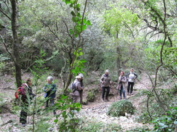 BEDOIN : la Combe de Malaval