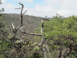 BENIVAY-OLLON - COL DE VOTE - CHAPELLE ST JEAN
