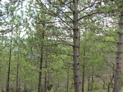 BENIVAY-OLLON - COL DE VOTE - CHAPELLE ST JEAN