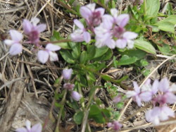 BENIVAY-OLLON - COL DE VOTE - CHAPELLE ST JEAN