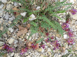 BENIVAY-OLLON - COL DE VOTE - CHAPELLE ST JEAN