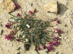 BENIVAY-OLLON - COL DE VOTE - CHAPELLE ST JEAN