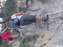 BRANTES AU PETIT MATIN