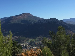 BUIS LE COL DE MILLEMANDRE