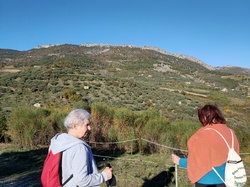 BUIS LE ROCHER DU LION