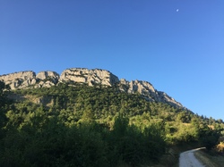 BUIS : le tour du St Julien