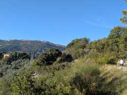 BUIS LES BARONNIES - ST JULIEN