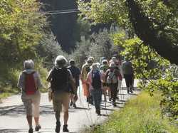 BUIS LES BARONNIES - ST JULIEN