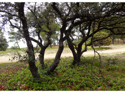 CAROMB LE LAC DU PATY