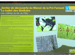 CAROMB LE LAC DU PATY