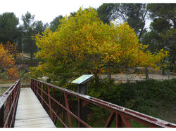 CAROMB LE LAC DU PATY