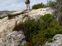 CASSIS LES CALANQUES