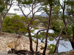 CASSIS LES CALANQUES