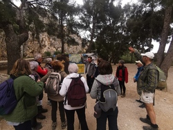 CASSIS LES CALANQUES