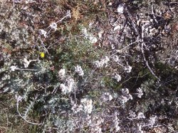 CHAPELLE LAC DU PATY