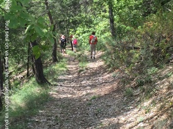 CHATEAUNEUF DE BORDETTE