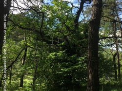 CHATEAUNEUF DE BORDETTE