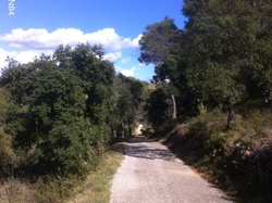 COL DE LA CHAÎNE - LE BARROUX