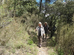 COL DE LA CHAÎNE - LE BARROUX