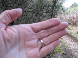 COL DE LA CHAÎNE - LE BARROUX