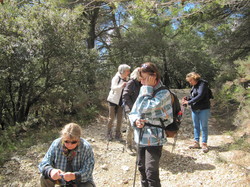 COL DE LA CHAÎNE - LE BARROUX