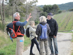 COL DE LA CHAÎNE - LE BARROUX