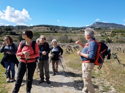 COL DE LA CHAÎNE - LE BARROUX