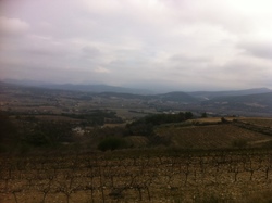 COMBE DU BON POIRIER ROAIX