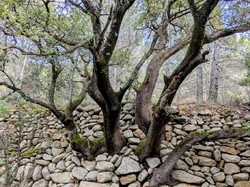 CRESTET-BARROUX-COL DE LA CHAINE