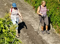 ENTRECHAUX / CRESTET