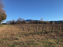 ENTRECHAUX et GALETTE DES ROIS