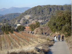 Entrechaux Galette des Rois