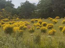 ENTRECHAUX : LE DARBOUSSET