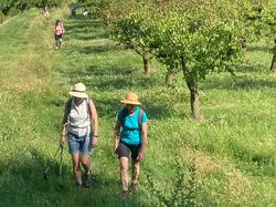ENTRECHAUX : LE DARBOUSSET