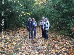 FLASSAN Combe de Canneau