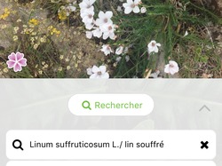 FLASSAN Combe de Cannaud