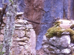 FLASSAN : la COMBE DE CANAUD