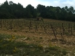 FLASSAN : la COMBE DE CANAUD