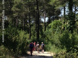 FONTAINE DE VAUCLUSE