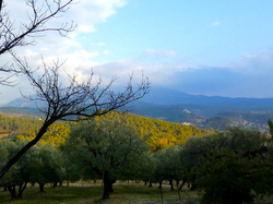 FORMATION ACCOMPAGNATEURS RANDONNEES PEDESTRES