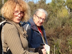 FORMATION ACCOMPAGNATEURS RANDONNEES PEDESTRES